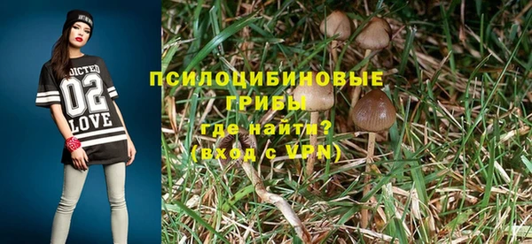 бутират Гусиноозёрск